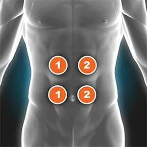 Abdominals