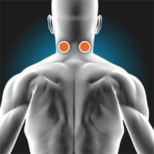 Neck