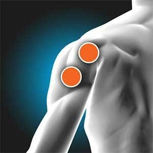 Rear Deltoid